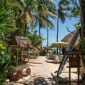 https://hotel-colibri-beach.allrivieramayahotels.com