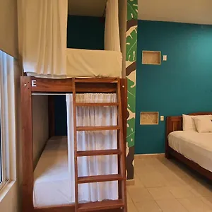 *** Hotel La Palmita By Mij Mexico